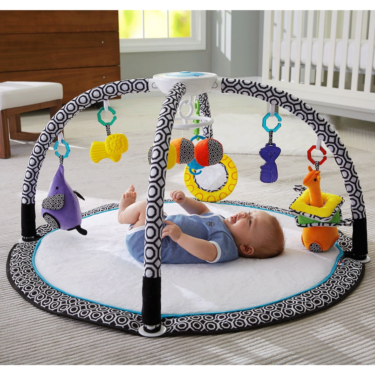 Fisher-Price¿ Sensory Gym