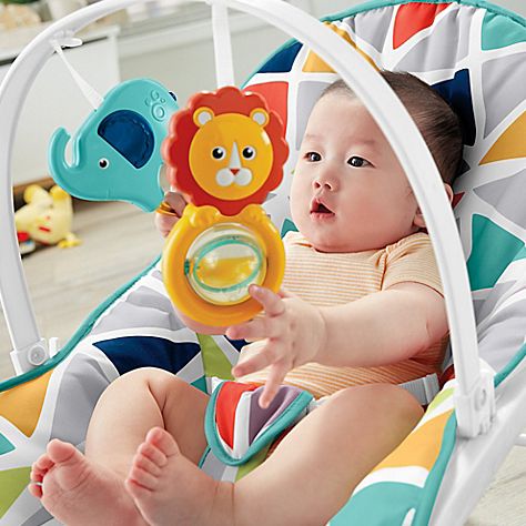 Fisher Price Infant To Toddler Rocker