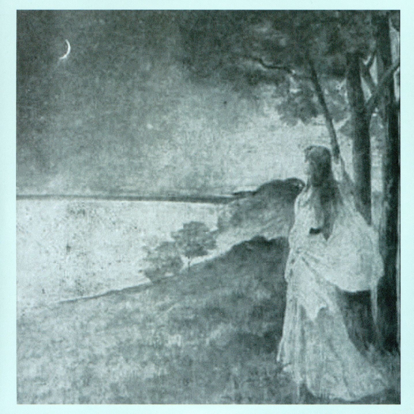 IMMIGRANT