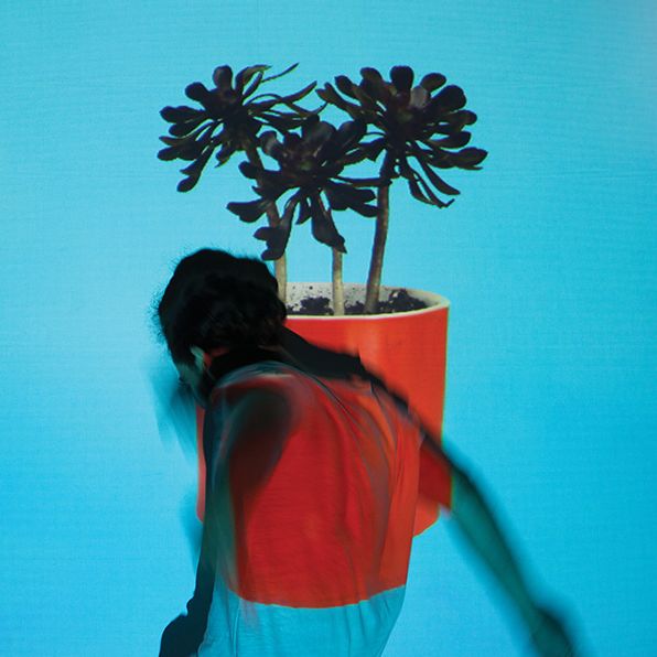 Sunlit Youth [Lp]