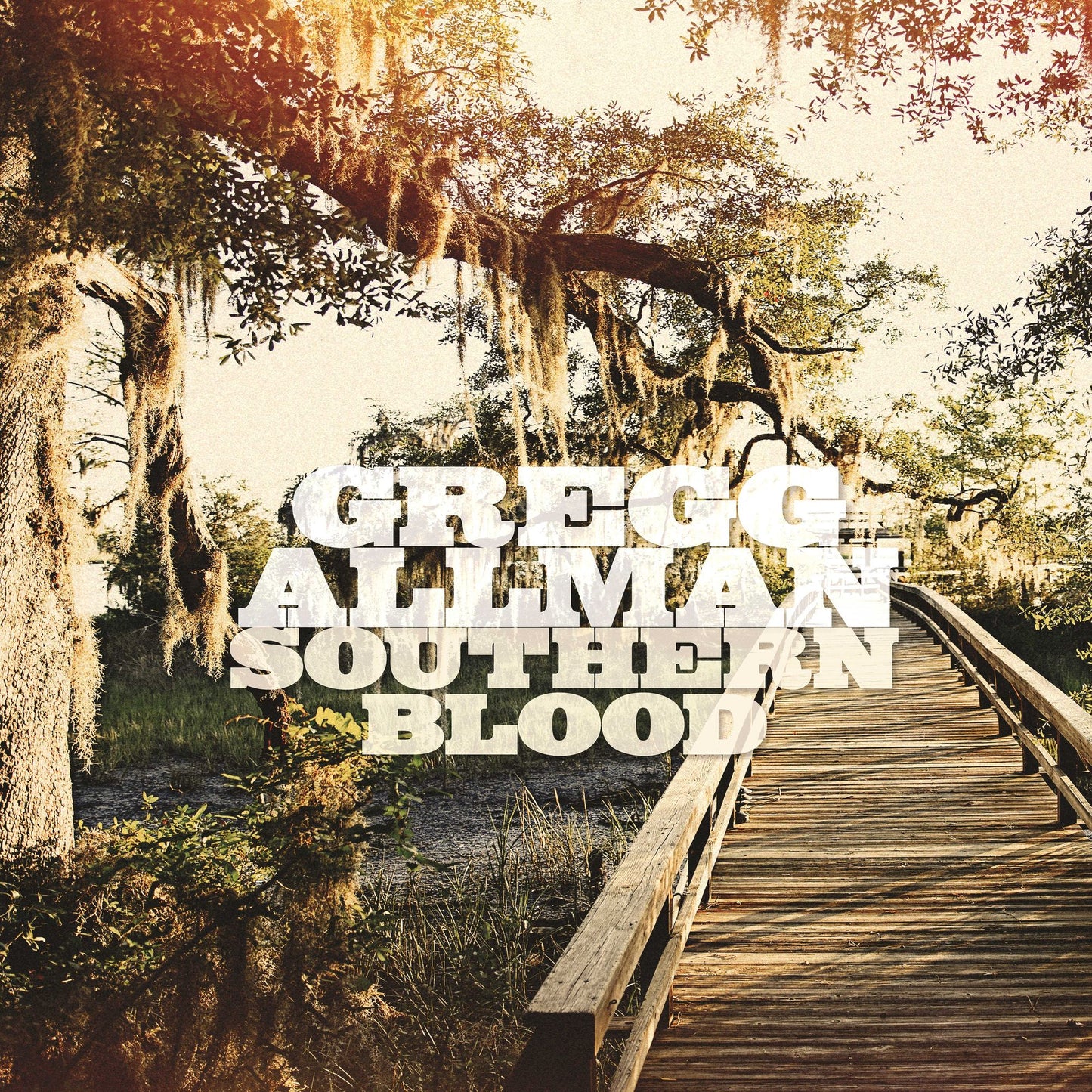 SOUTHERN BLOOD (COLV)