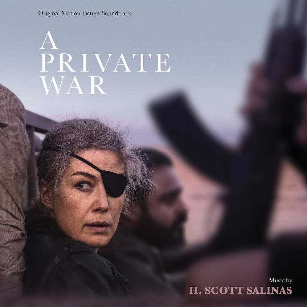 Private War  (H Scott Salinas)