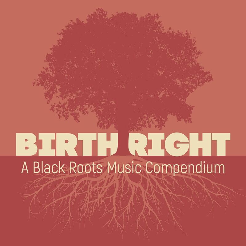 Birthright: A Black Roots Music Compendium / Var]