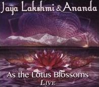 AS THE LOTUS BLOSSOMS LIVE (DIG