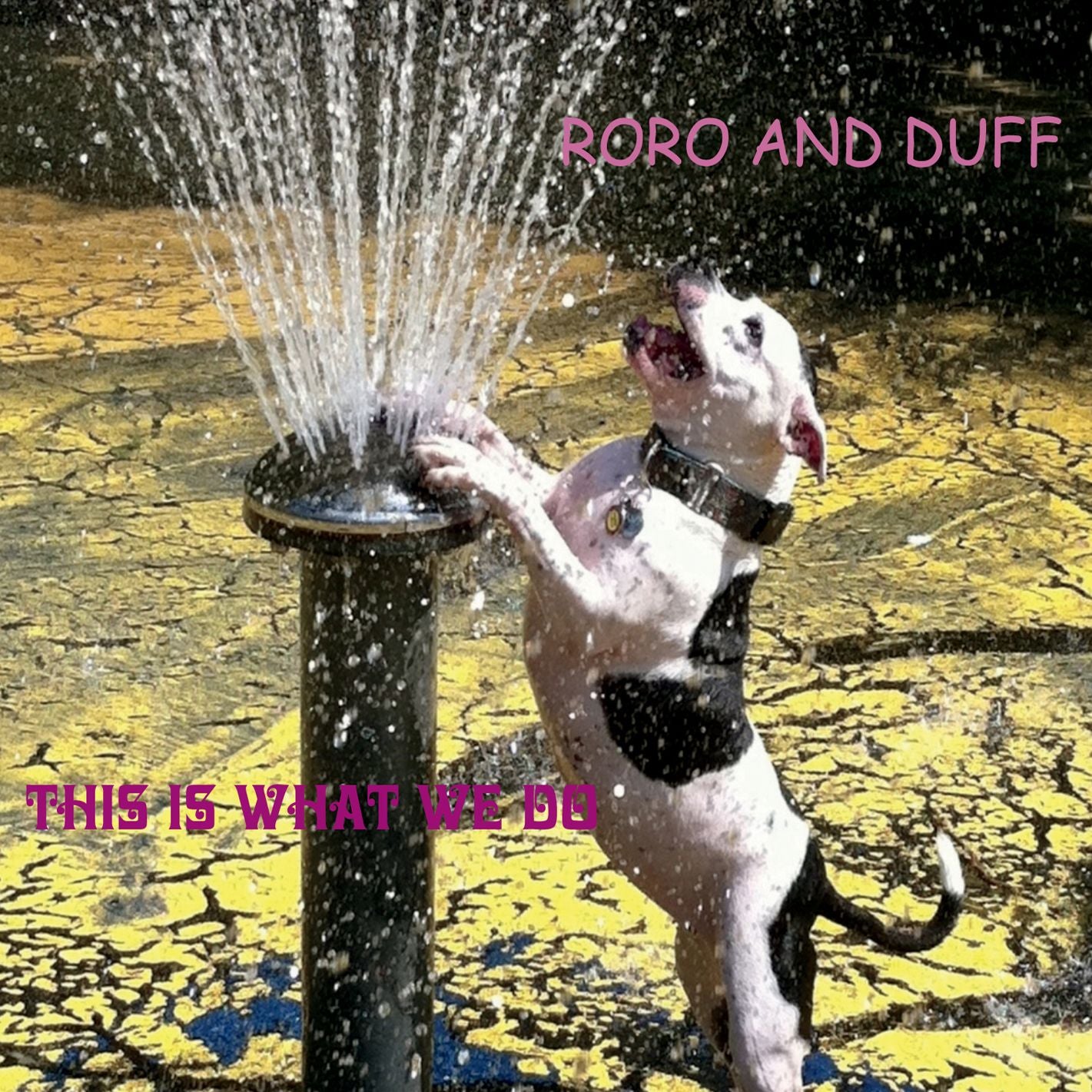 THIS IS WHAT WE DO