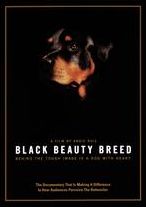 Black Beauty Breed