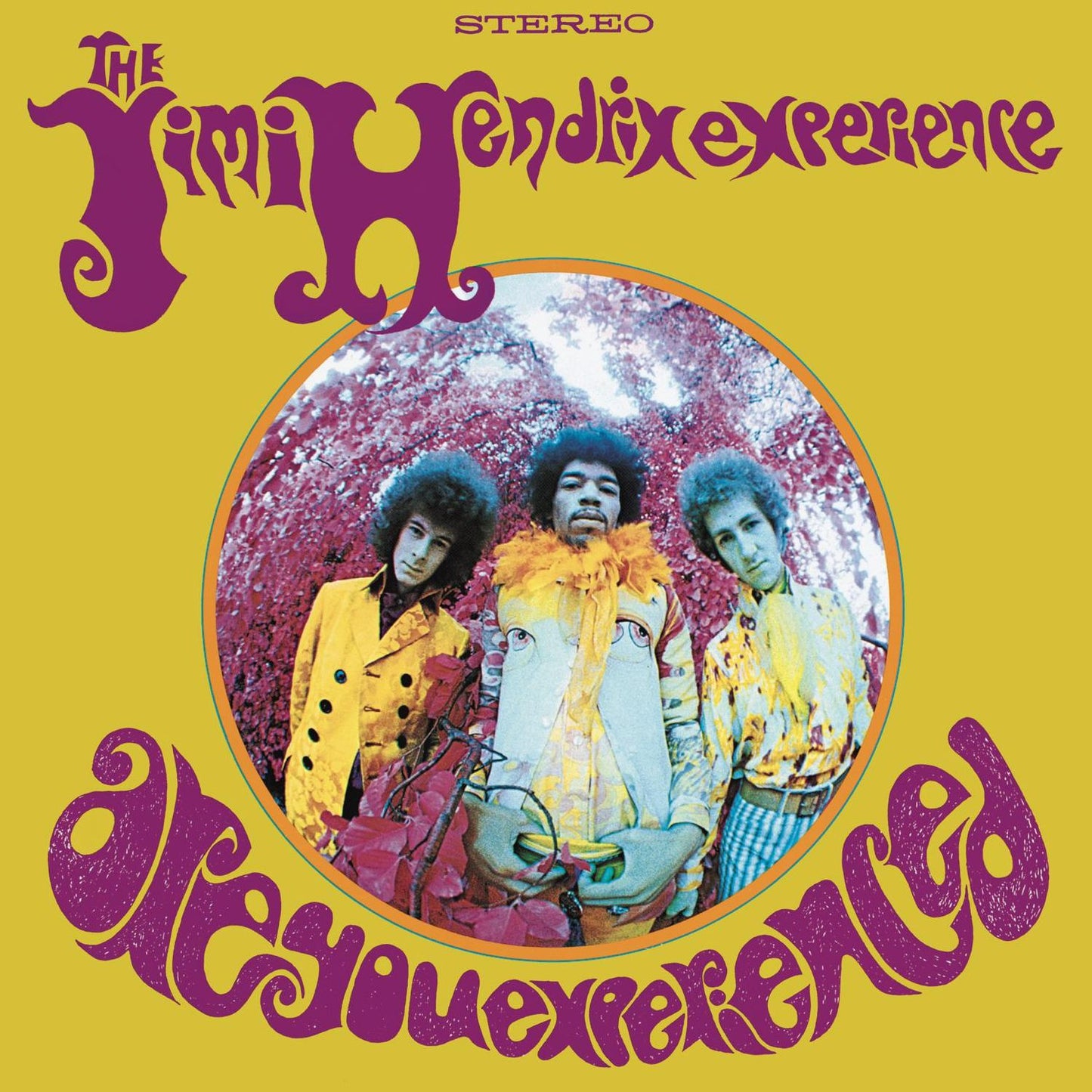 ARE YOU EXPERIENCED (OGV)