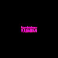Bumblebeee (Kasabian)