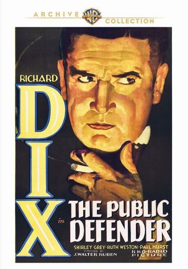 Public Defender