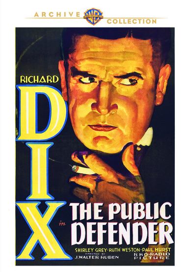 Public Defender