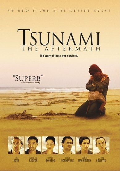 Tsunami: The Aftermath