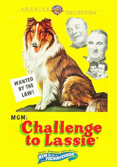 Challenge to Lassie