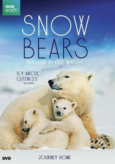 Snow Bears