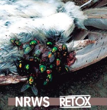 Narrows/retox