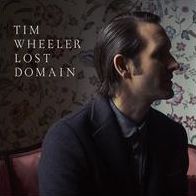 Lost Domain (Tim Wheeler)