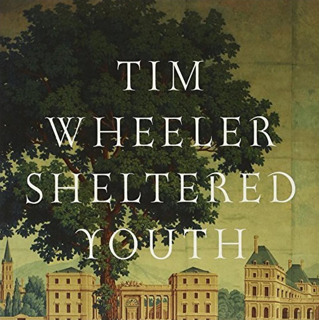 Sheltered Youth (Tim Wheeler)