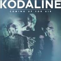 Coming Up For Air [Lp]