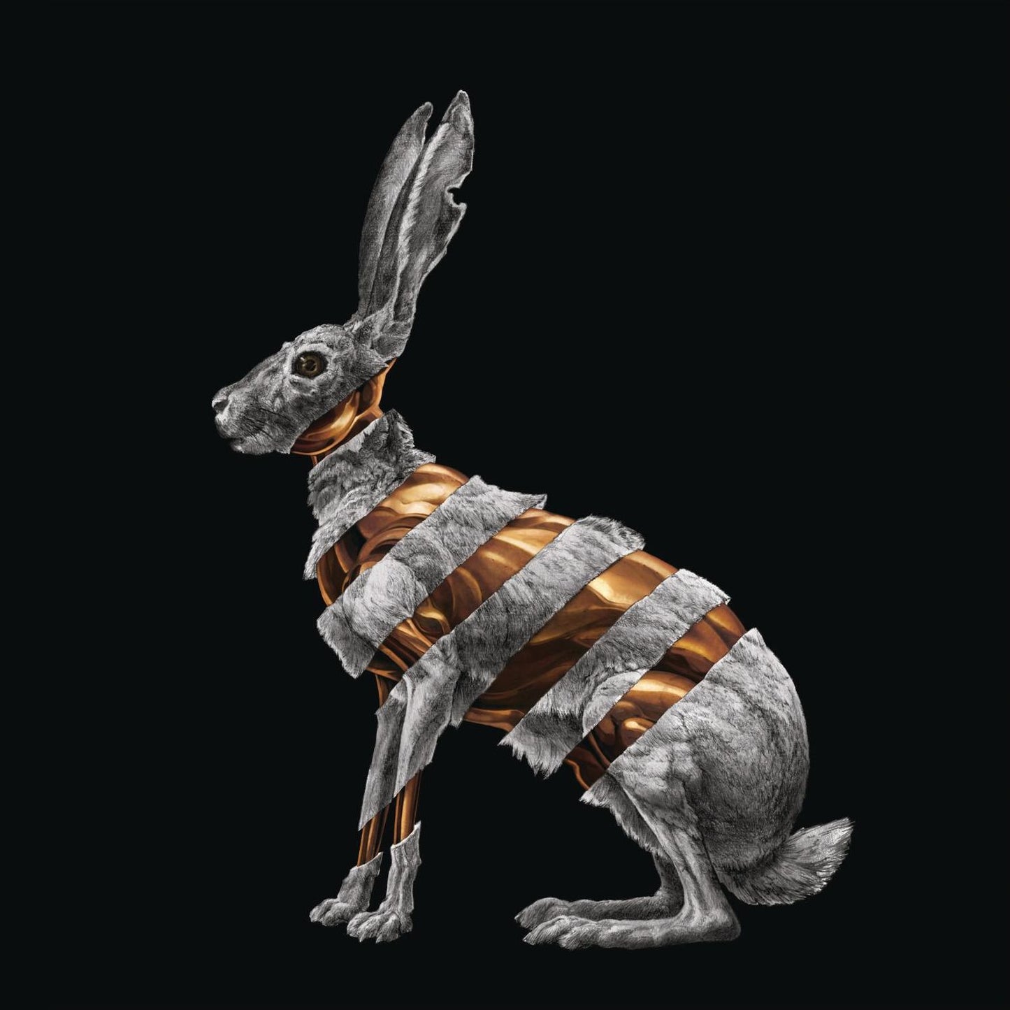 Jackrabbit [Lp/cd]