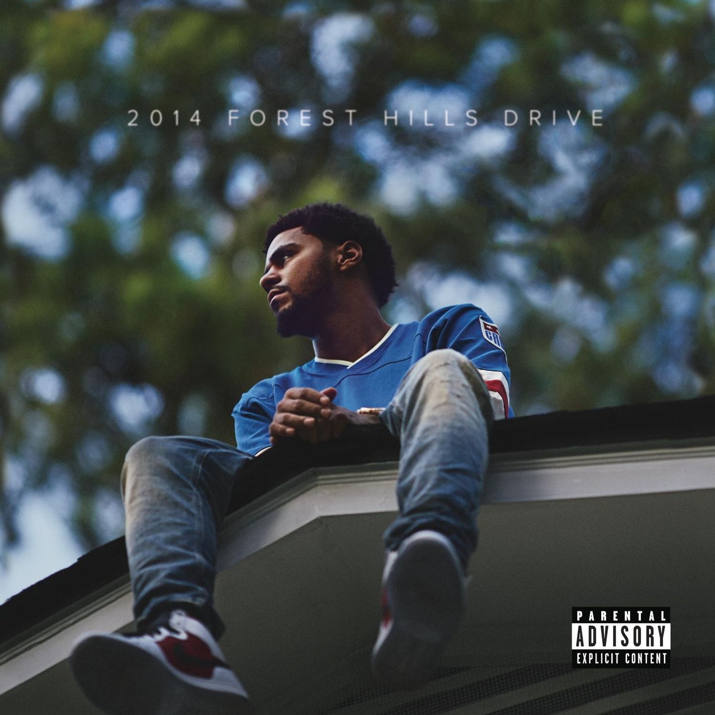 2014 FOREST HILLS DRIVE (DLI)