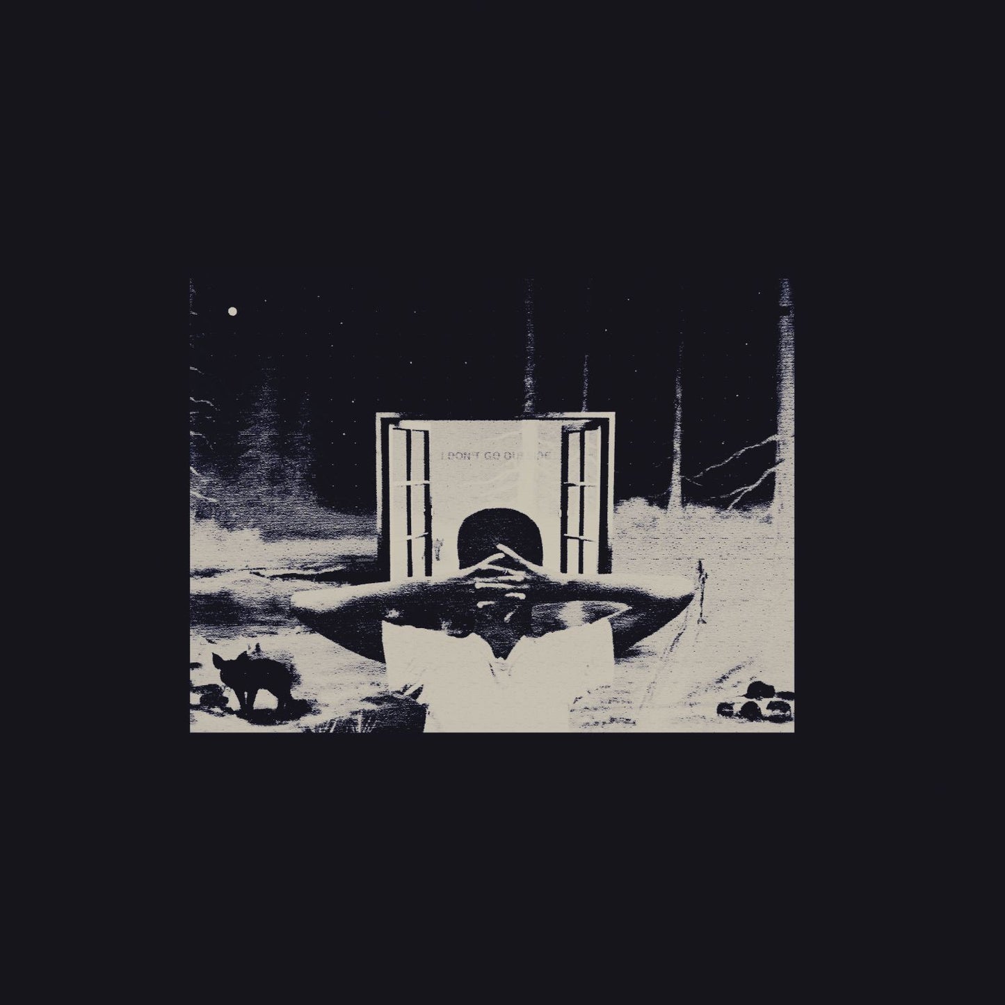 I Don't Like Shit, I Don't Go Outside [LP]