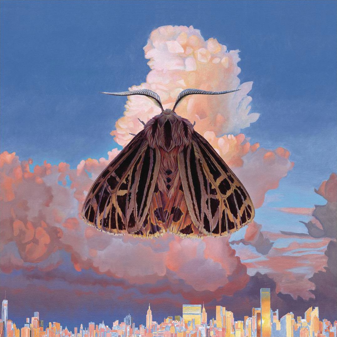 Moth [Lp]