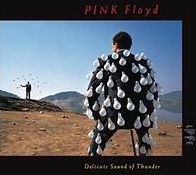 Delicate Sound Of Thunder (Live
