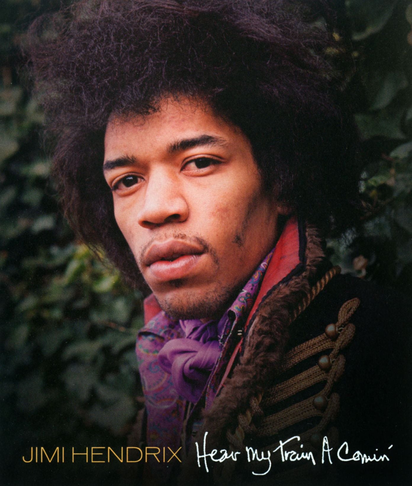 Jimi Hendrix: Hear My Train A Comin'