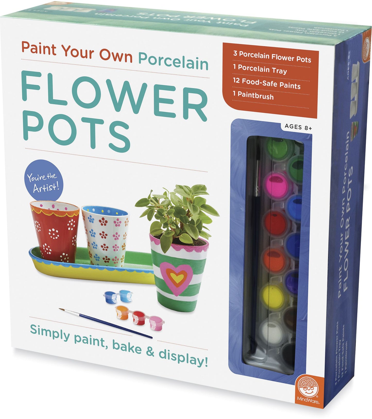 PAINT YOUR OWN PORCELAIN: FLOWER POTS