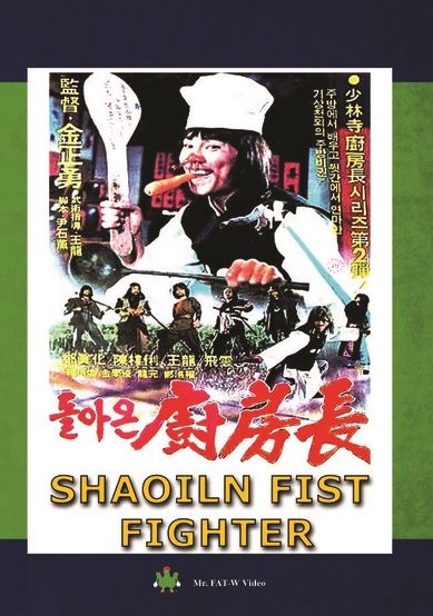 Shaoiln Fist Fighter