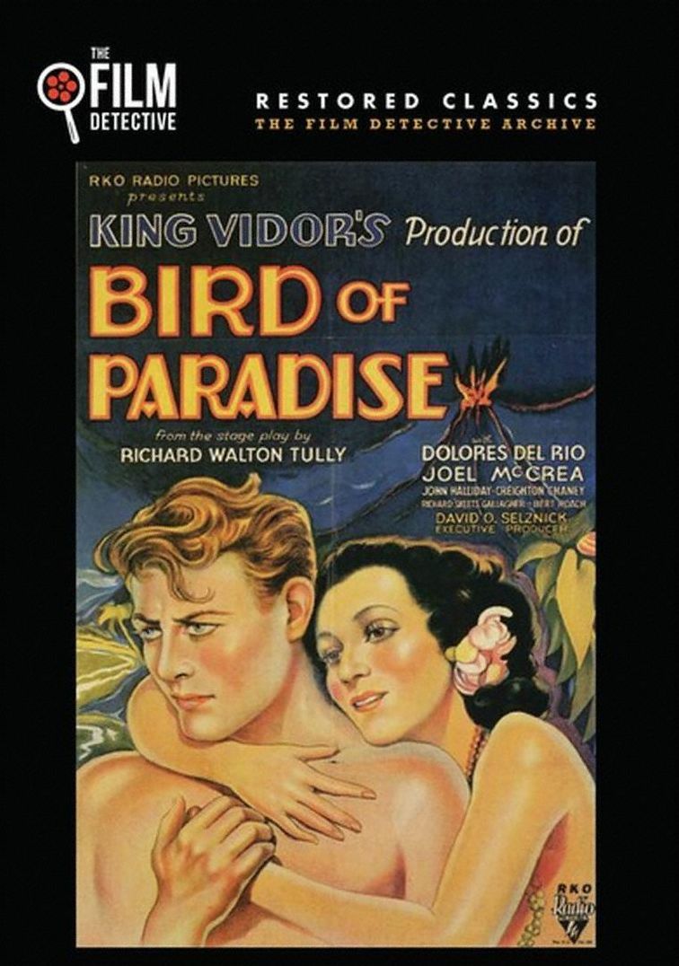 Bird Of Paradise