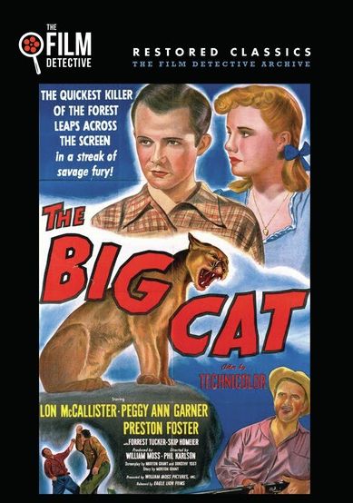 The Big Cat