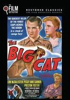 The Big Cat