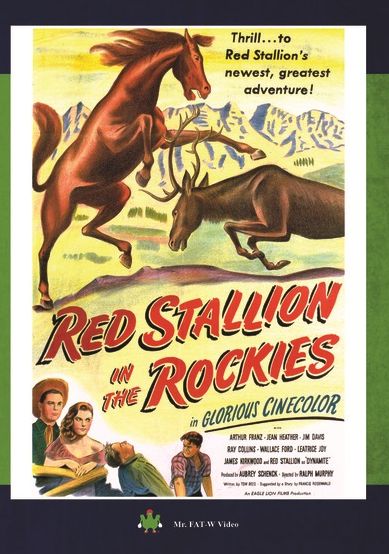 Red Stallion In The Rockies