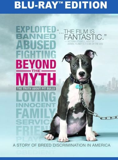Beyond The Myth