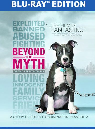 Beyond The Myth