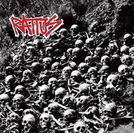 Rattus