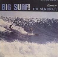 Big Surf (Sentinals)