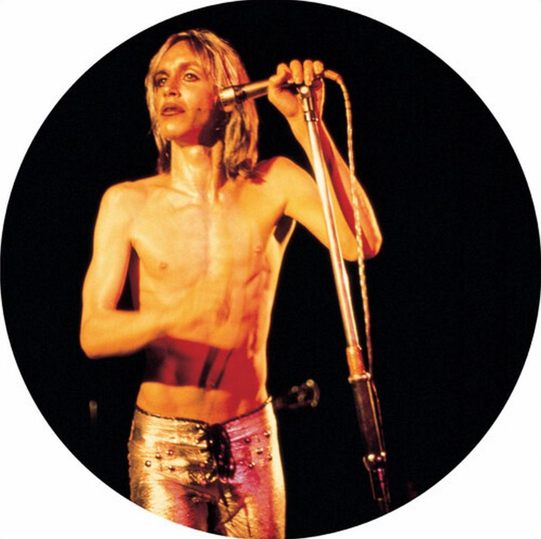 More Power - A Gorgeous Picture Disc Vinyl (Pict)