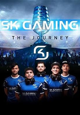 SK Gaming: The Journey