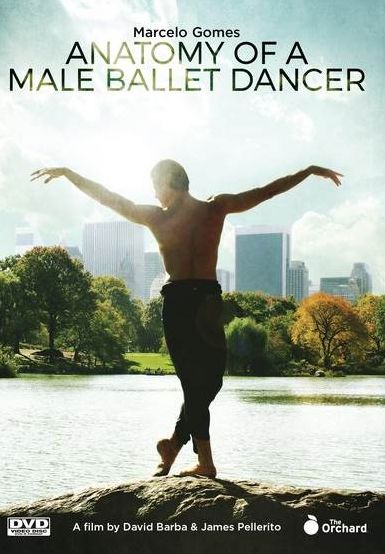 Anatomy of a Male Ballet Dancer