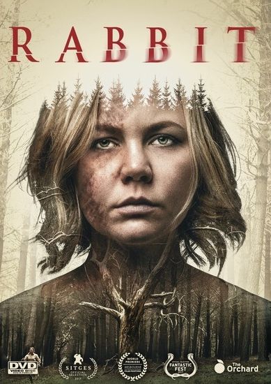 Rabbit