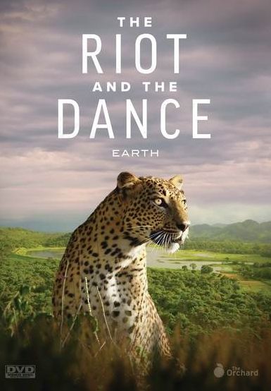 Riot & The Dance: Earth