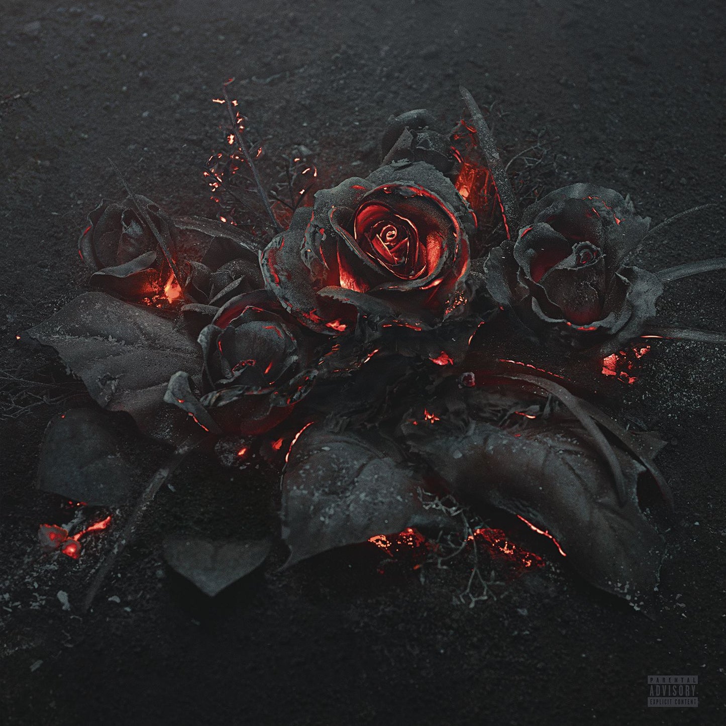 Evol [Lp]