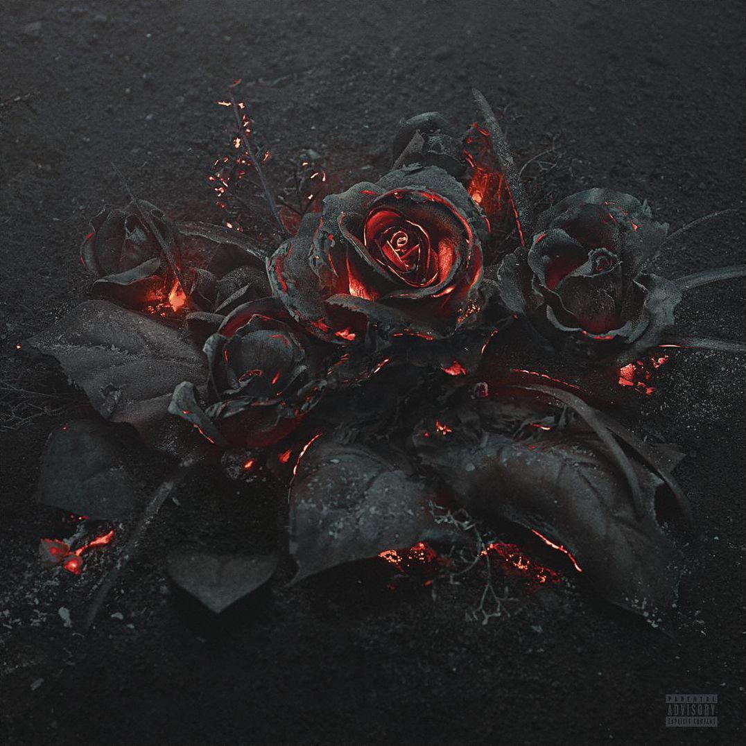 Evol [Lp]