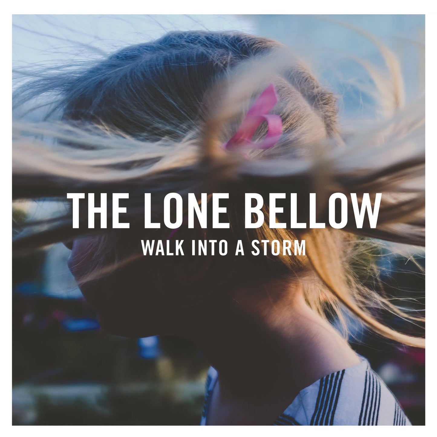 Walk Into A Storm [Lp]