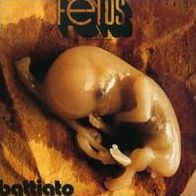 Fetus