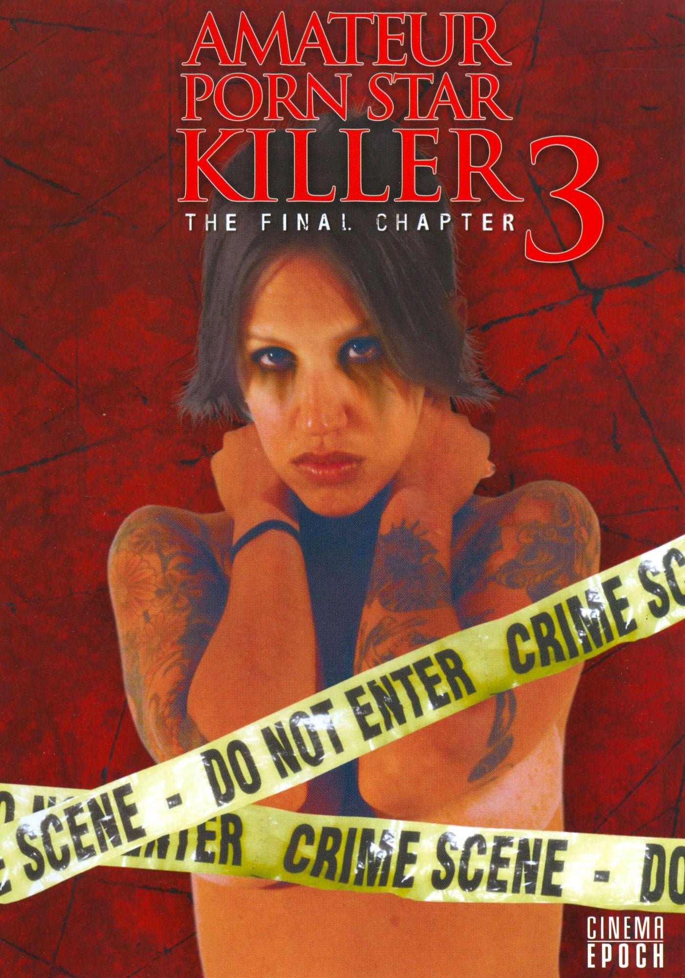 Amateur Porn Star Killer 3: The Final Chapter