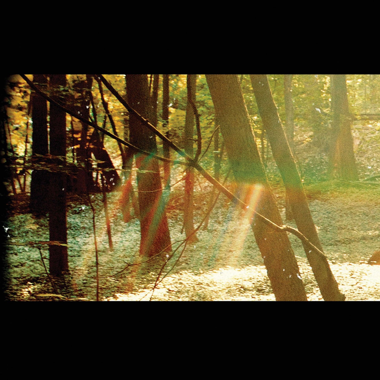 Camp [LP]