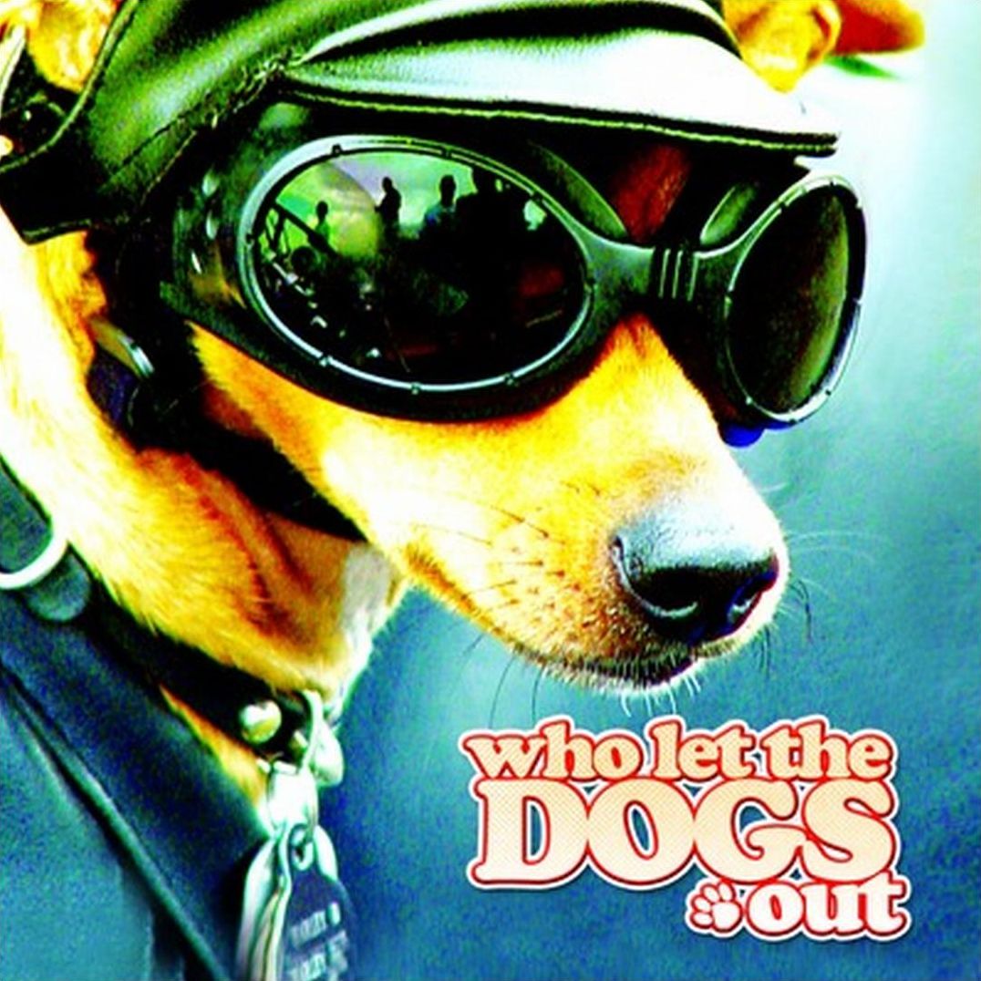Who Let the Dogs Out