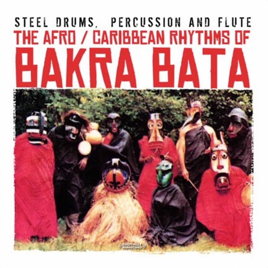 Steel Drums, Percussion & Flute